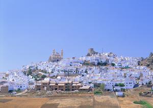 CASBEEを活用した持続可能な建築のための完全ガイド:環境性能評価から省エネ計算までのステップバイステップ解説